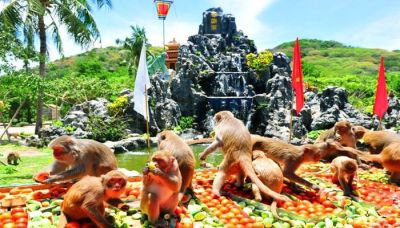 NHA TRANG - ĐẢO KHỈ - CÔNG VIÊN VINWONDERS