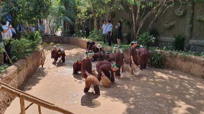 ĐBD - VÙNG GIẢI PHÓNG - TÁT MƯƠNG BẮT CÁ- HỒ BƠI