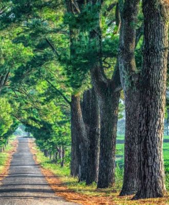 CAO NGUYÊN BAN MÊ - KDL TÀ ĐÙNG