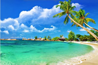 NHA TRANG - ĐẢO CON SẼ TRE - BAR TRÊN BIỂN