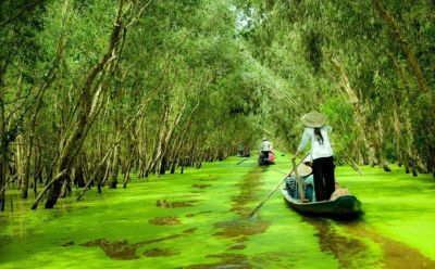 TP004 - CHÂU ĐỐC - RỪNG TRÀM - CẦN THƠ - MỸ KHÁNH 3N2Đ