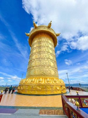 SAMTEN HILL - TP HOA ĐÀ LẠT