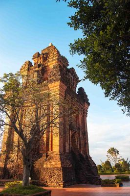 PHÚ YÊN - HOA VÀNG TRÊN CỎ XANH