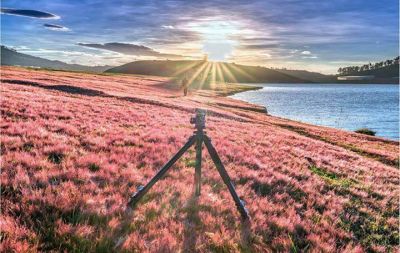 KDL THÁC DAMRI  -DELIGHT PARK