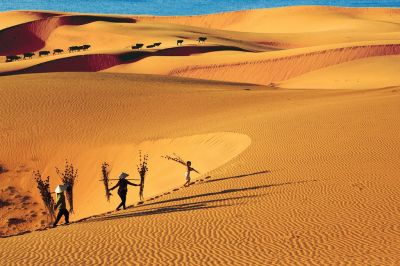 PHAN THIẾT - CÔNG VIÊN NOVA DREAM - TEAM BUILDING
