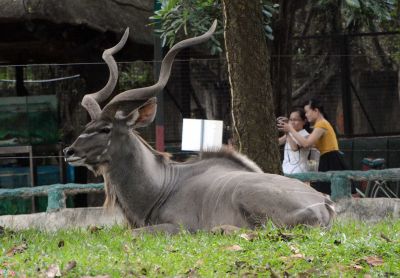 ĐỊA ĐẠO CỦ CHI - VƯỜN THÚ - BIỂN ĐẠI NAM