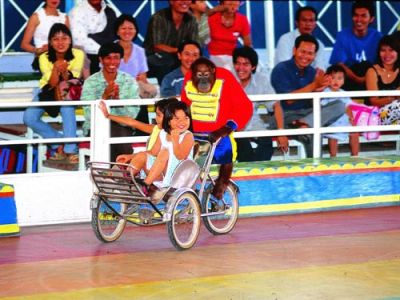 BN RỒNG - TRÒ CHƠI TRỌN GÓI ĐẦM SEN KHÔ